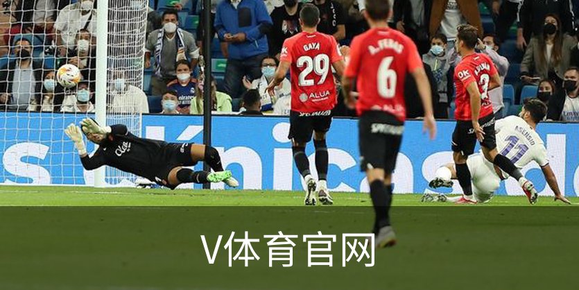 V体育官网品牌故事